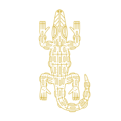 alligator