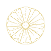 Rosette - 'The Sun Never Misses a Day'