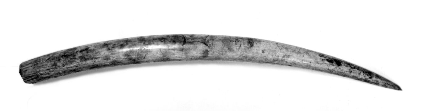 King's Mark