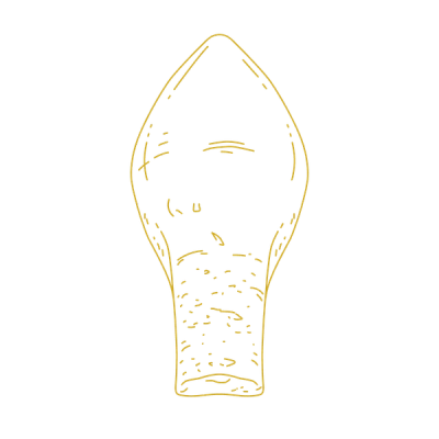 Chisel