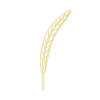 Feather