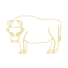 cattle (dwarf mutu cow)