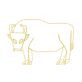 cattle (dwarf mutu cow)