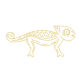 chameleon