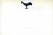 Hen Figure